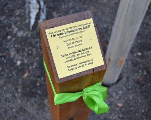 Bild von Ökolöwen-Geburtstag mit neuem Stadtbaum für Leipzig