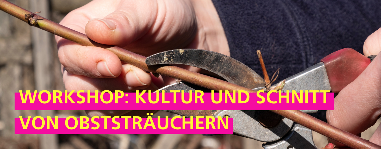 Stadtgarten Connewitz