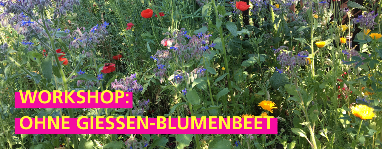 Stadtgarten Connewitz