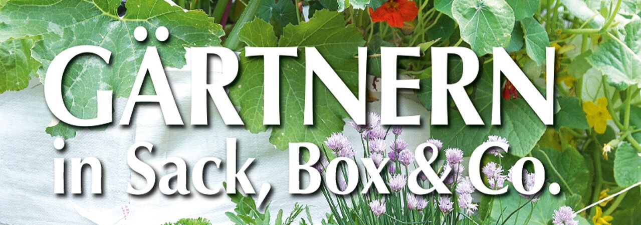 Buchcover zu 'Gärtnern in Sack, Box & Co.' von Dorothea Baumjohann