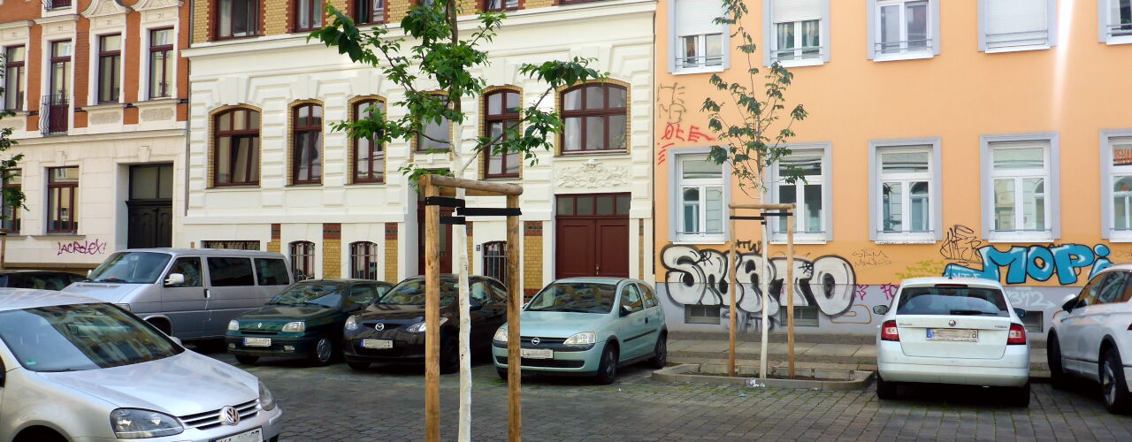 Nuee Straßenbäume in Leipziger Süden