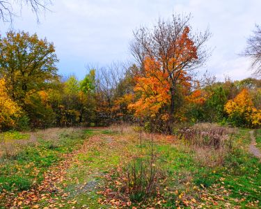 Etzoldsche Sandgrube