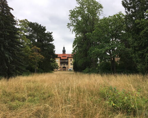 Gelände des Parkkrankenhaus Dösen vor der Bebauung