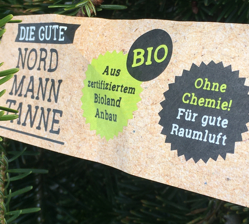 Weihnachtsbaum Recycling