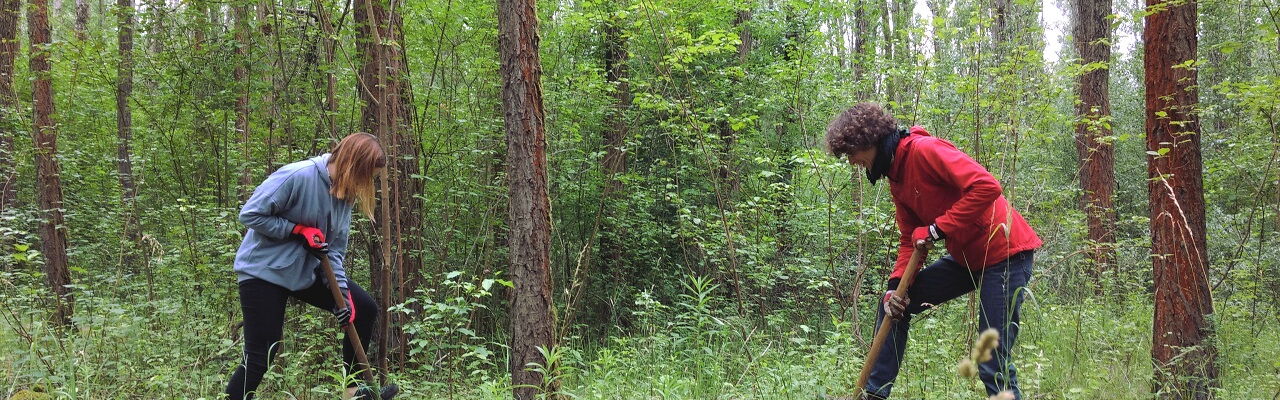 Mitglieder der AG Naturschutz bei einem Arbeitseinsatz
