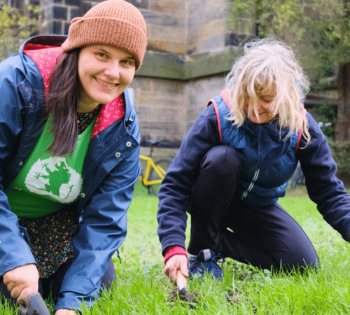 Menschen beim Frühblüher-Stecken