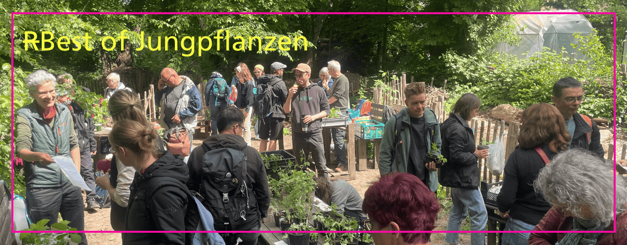 Jungpflanzentausch Stadtgarten Connewitz