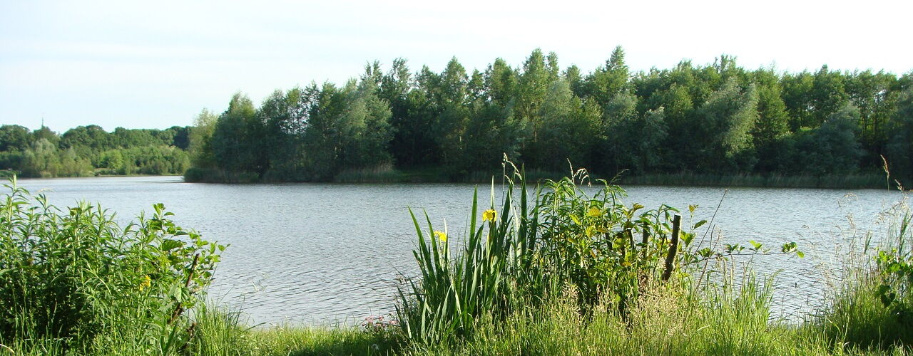 Leipziger See