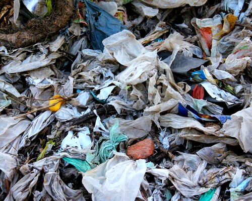 Kunststoffmüll in der Biotonne