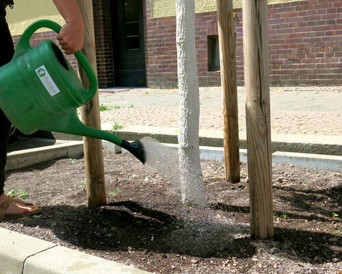 Straßenbäume gießen in Leipzig