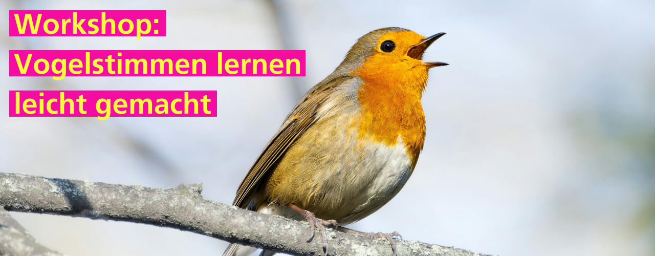 Stadtgarten Connewitz