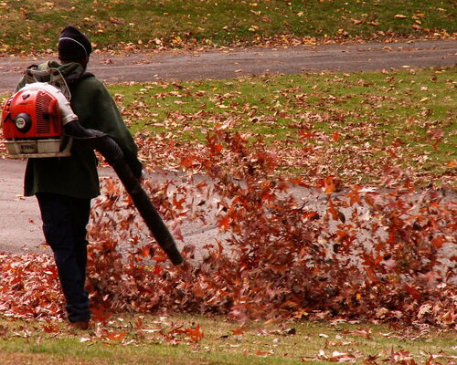 Laubbläser im Einsatz
