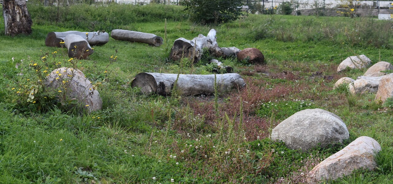Totholz liegt verteilt auf einer Grünfläche