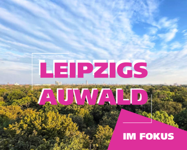 Auwald Leipzig