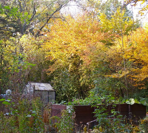 Kompost als Igelbude im Stadtgarten Connewitz