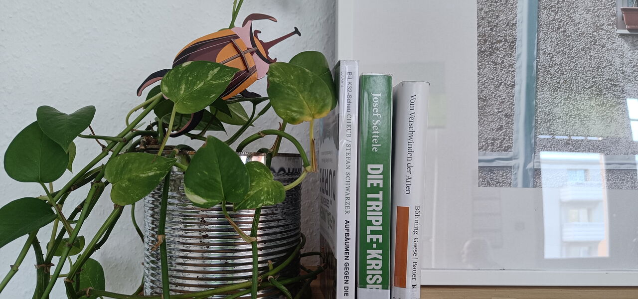 Drei Bücher zu Klimakrisen-Themen arrangiert