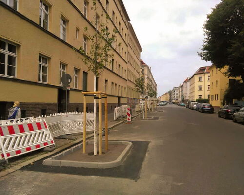 Straßenbäume in der Holbeinstraße