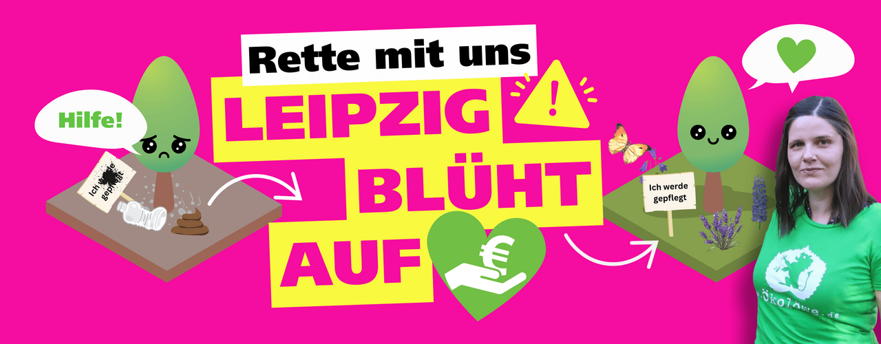 Ein rote Mohnblume leuchtet mitten im blühenden Baumbeet, im Hintergrund fahren Autos auf einer Strasse.