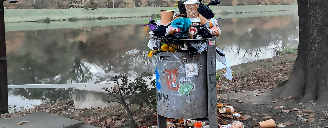 Überquellender Mülleimer am Scheibenholz