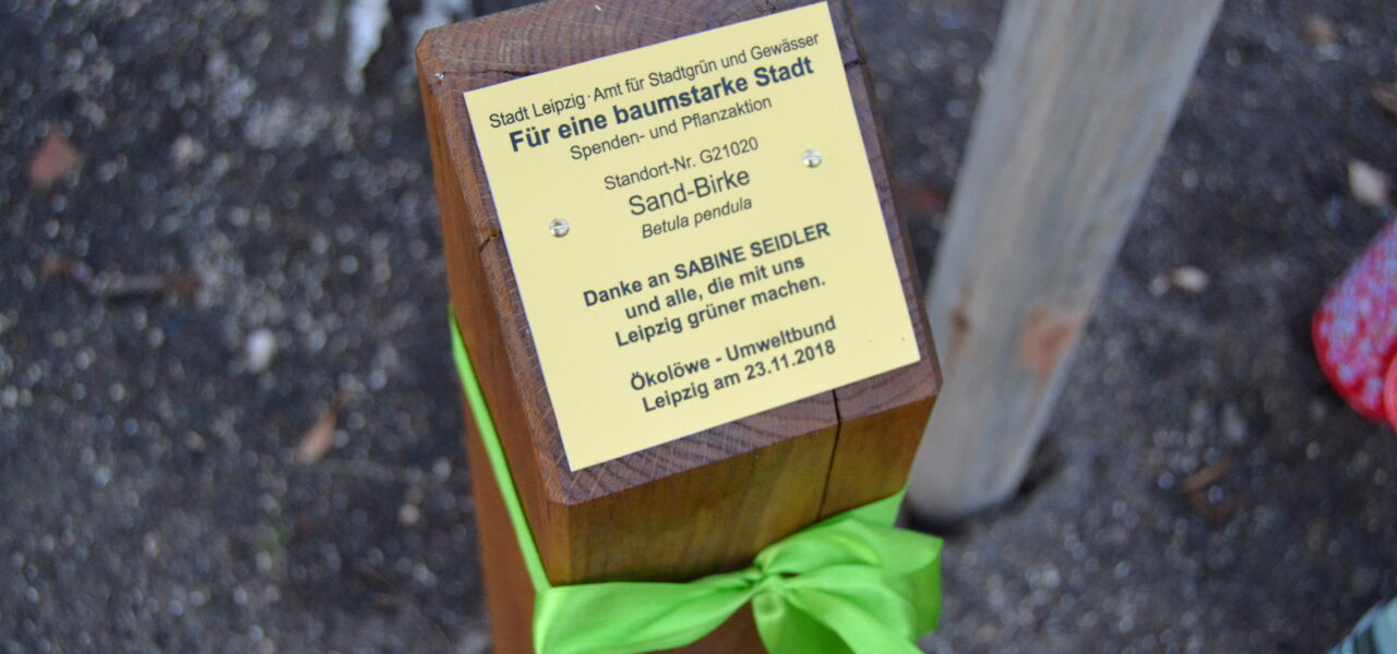 Bild von Ökolöwen-Geburtstag mit neuem Stadtbaum für Leipzig