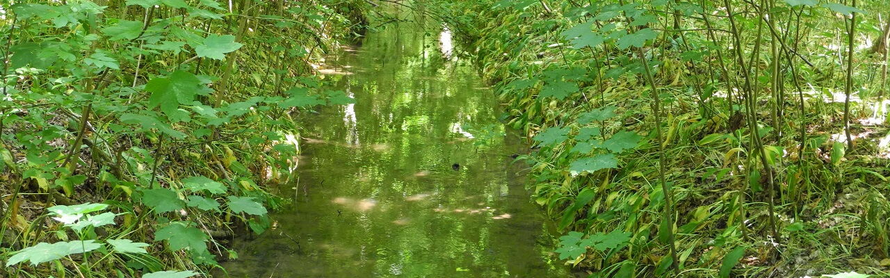Blick auf den Bauerngraben