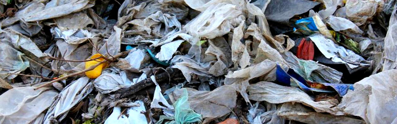 Kunstoff im Biomüll