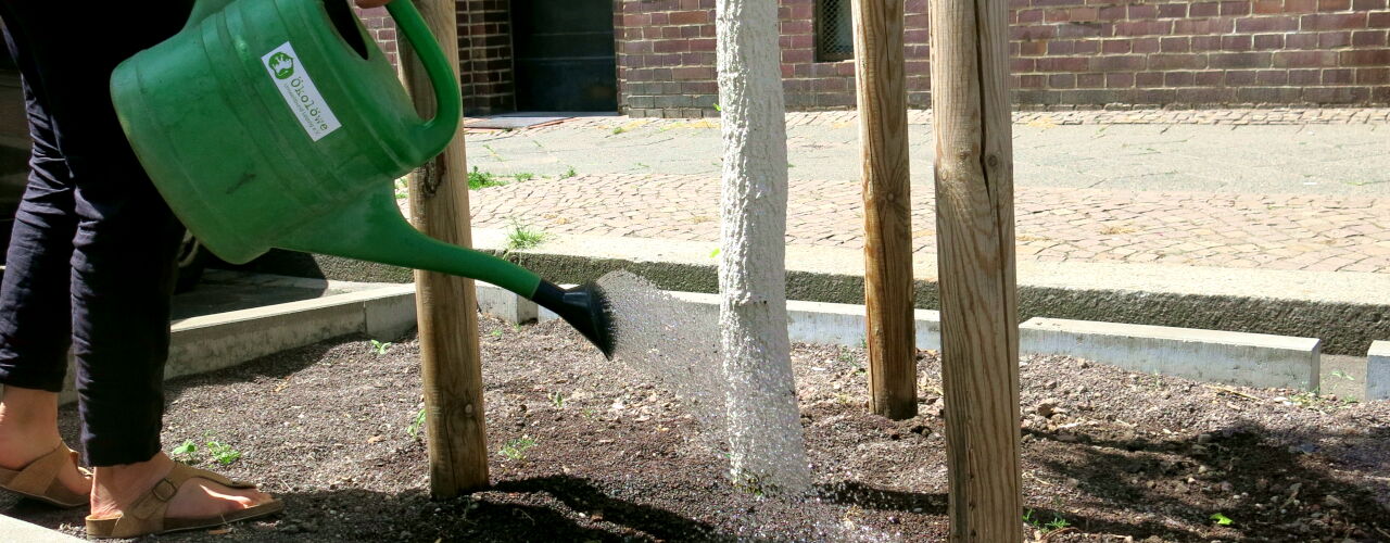 Straßenbäume gießen in Leipzig