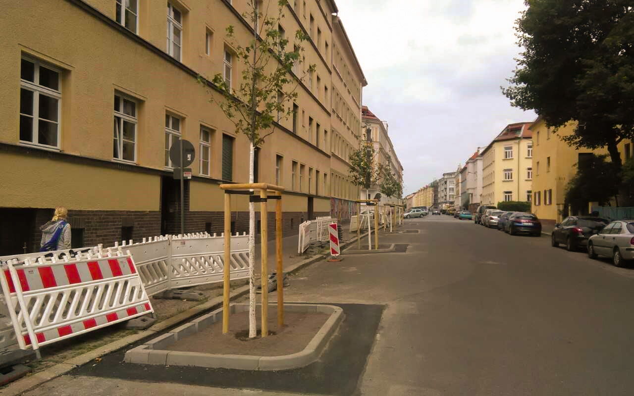Straßenbäume in Leipzig nach dem sogenannten Zwickauer Modell