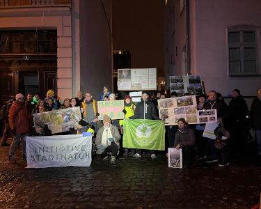 Protestaktion gegen illegale Fällung in Schleußig