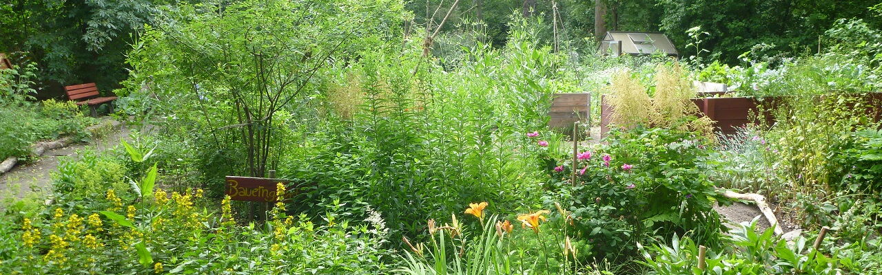 Gemeinschafts- und Stadtgarten Connewitz