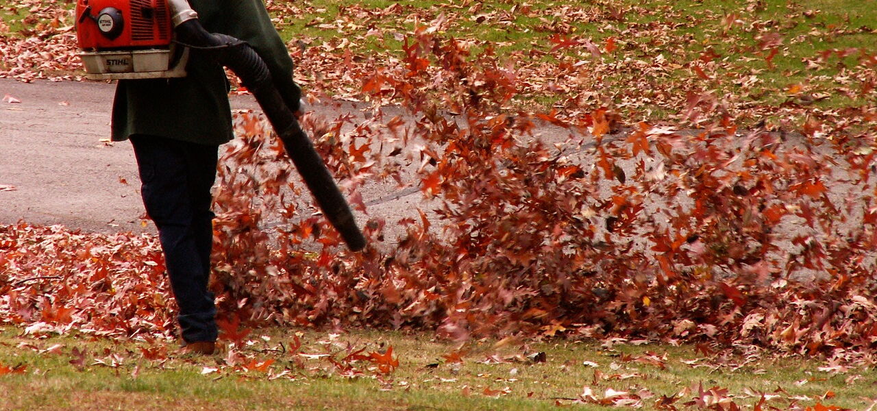 Mann in schwarzen Sachen hat einen Laubbläser auf dem Rücken und pustet mit dem Rohr in einen Laubhaufen