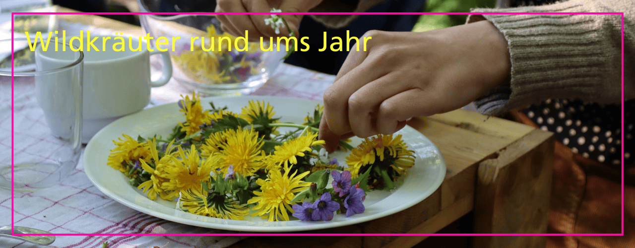 Wildkräuter im Stadtgarten Connewitz