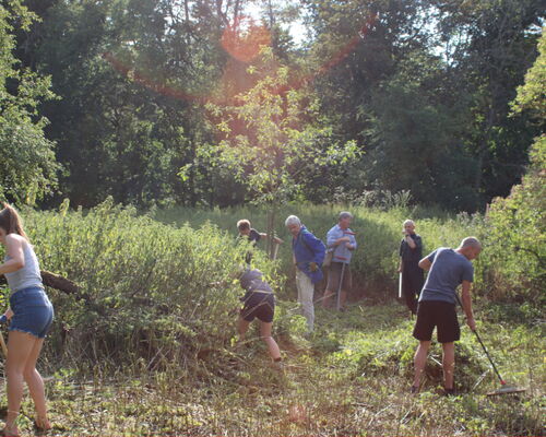 Streuobstwiese in Gohlis
