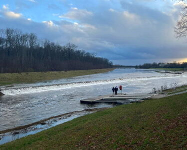 Hochwasser und Auwald