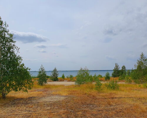 Nordufer des Zwenkauer Sees