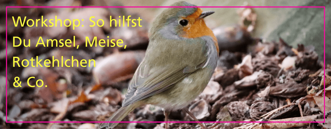 Workshop Gartenvögel im Stadtgarten Connewitz