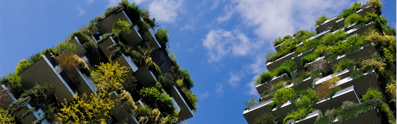 Foto: Marco Sala, CC BY-SA 4.0, Wikimedia Commons