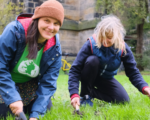 Menschen beim Frühblüher-Stecken