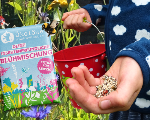 Saatgut Blühfläche