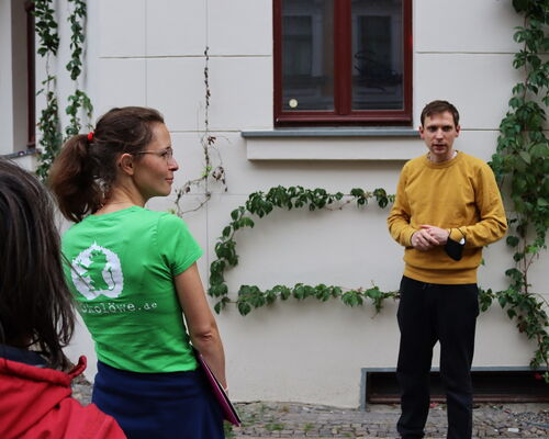 Fassadenbegrünung Leipzig