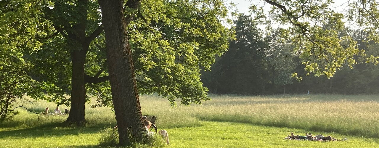 Parkbesucher:innen im Palmengarten, im Hintergrund eine Langgraswiese
