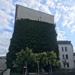 Ein mit Efeu dicht bewachsener Giebel in Leipzig.
