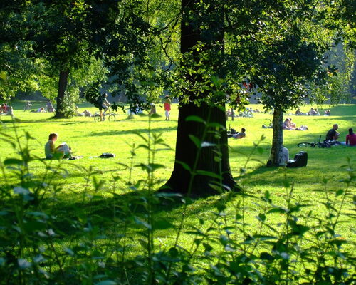 Menschen auf einer Wiese im Clara Park