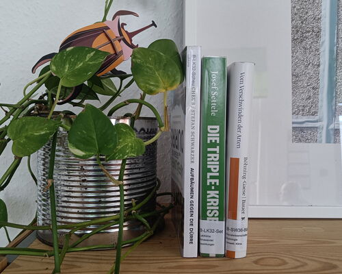 Bücher rund um den Klimawandel