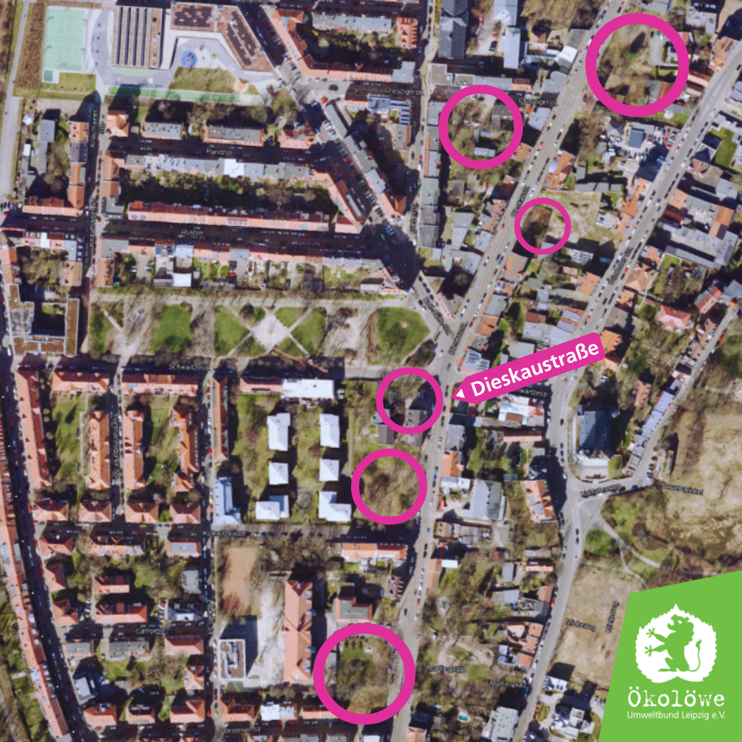 Übersicht Brachenrodungen entlang der Dieskaustraße