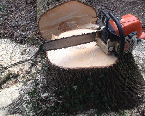 Motorsäge auf Baumstumpf