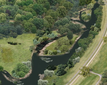 Neue Luppe renaturieren und Auwald retten