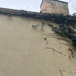 Efeu wächst in eine Holzkonstruktion am Übergang von Fassade und Dach.