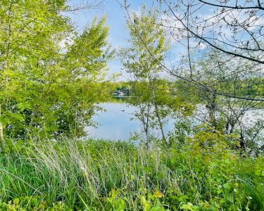 Baupläne im Schutzgebiet am Auensee stoppen