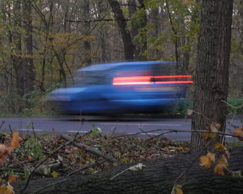 Auto fährt durch den Auwald